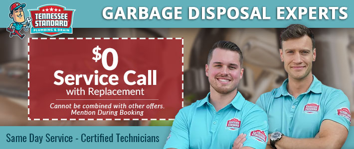 corryton Garbage Disposal Repair & Install Tennessee Standard Plumbing